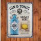 Retro Dekorációs Fém Tábla Gin&Tonic Felirattal - Gintonic rajongóknak